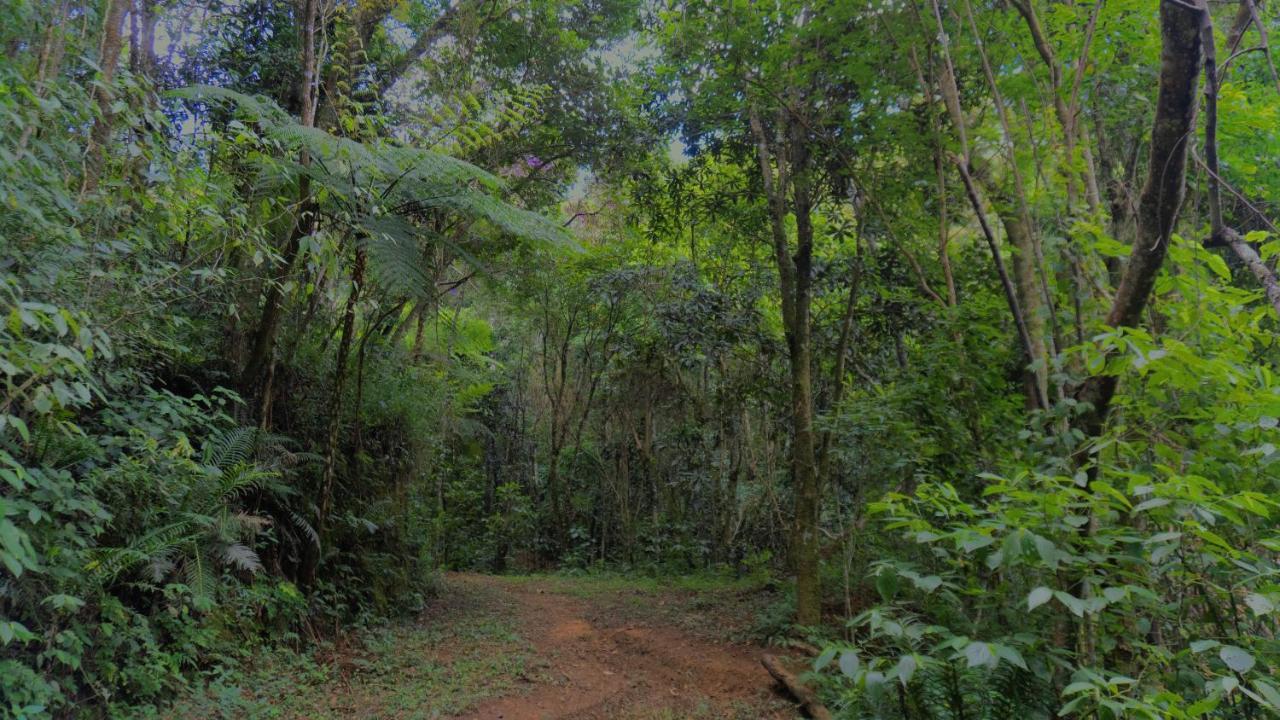 Pousada Alpes Santo Antônio do Pinhal Εξωτερικό φωτογραφία
