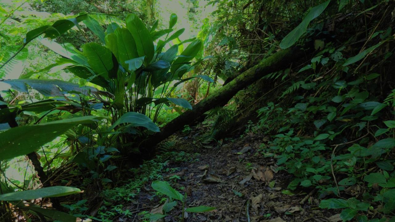 Pousada Alpes Santo Antônio do Pinhal Εξωτερικό φωτογραφία